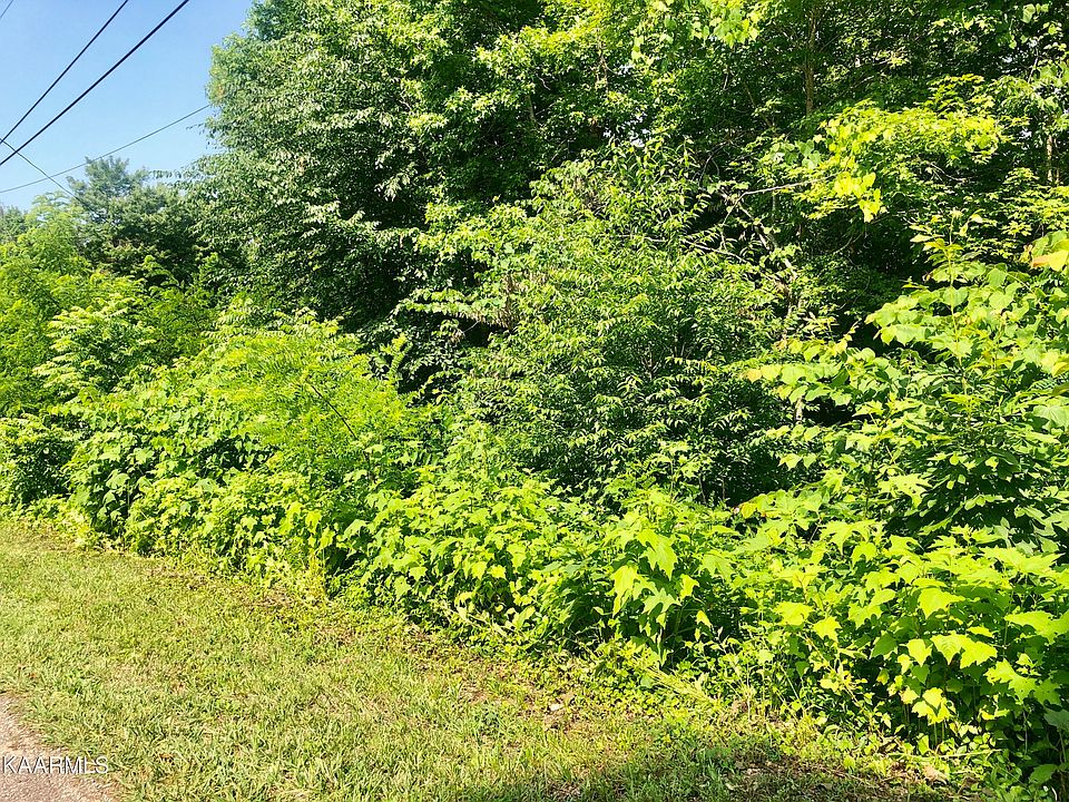 2nd image of Pine Hollow Rd