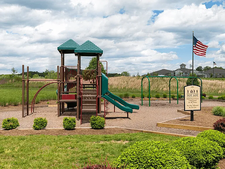 Colorful Playground
