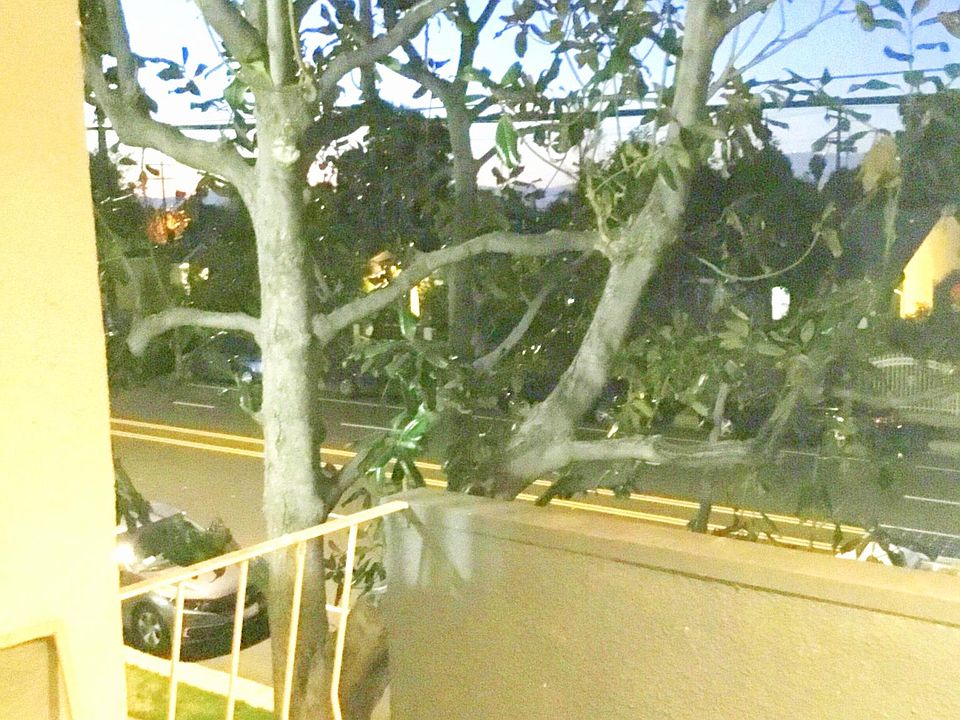 1st image of 17938 Burbank Blvd #333