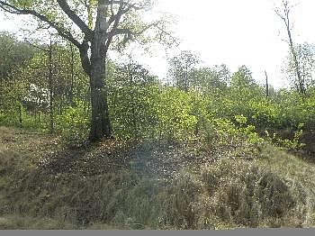 1st image of 51 Summersweet Ln