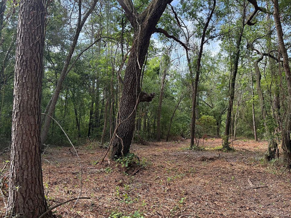 2nd image of LOT 18 SE 100th Way