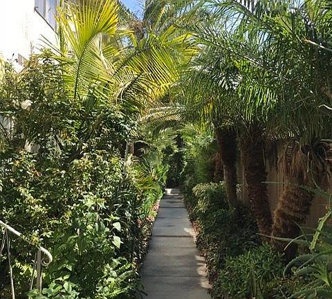 4th image of 1848 N Normandie Ave #2