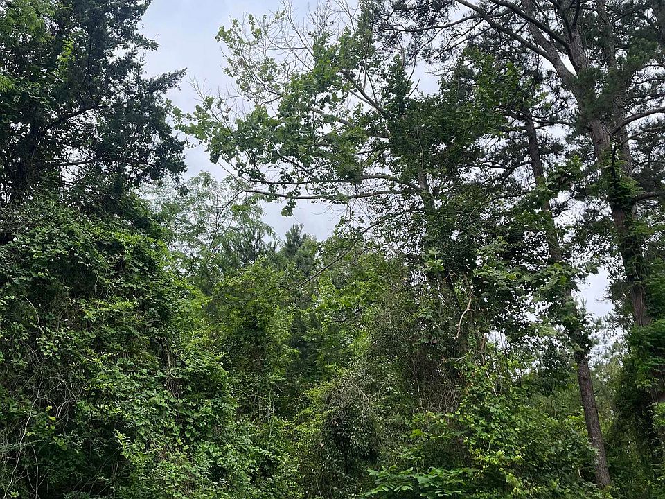 2nd image of Tbd Trinity Rd