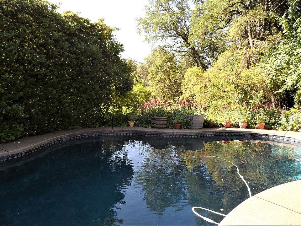 Pool & Landscaping/Trees