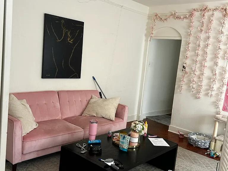 913 Lowerline St — Photo 5