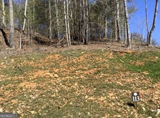 LOT 113 High River Rd, Ellijay, GA 30540