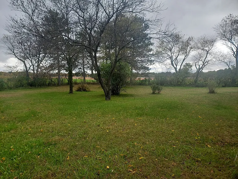 2093 Creek Rd — Photo 13