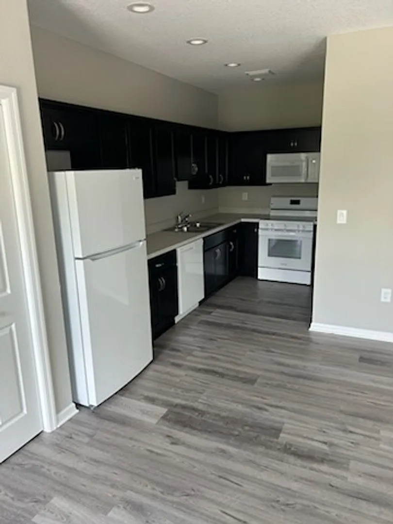 Brand New two bed one bath — Photo 3