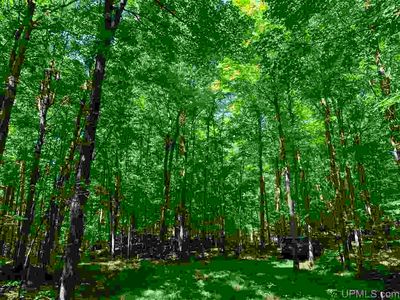 Town Rd S, Florence, WI, 54121