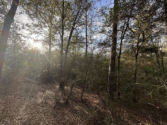 3rd image of Dogwood Dr W