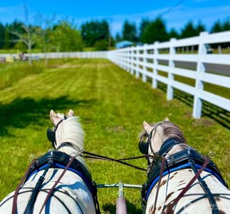 4711 176th Avenue SW, Rochester, WA, 98579