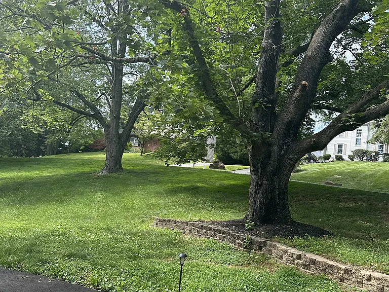 238 Pond Dr — Photo 4