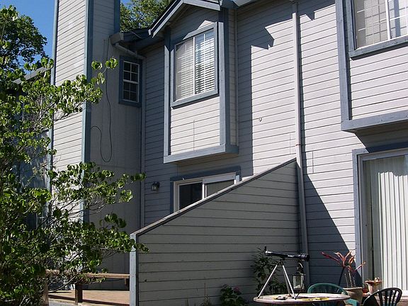 BACKYARD WITH "PRIVACY" FENCE