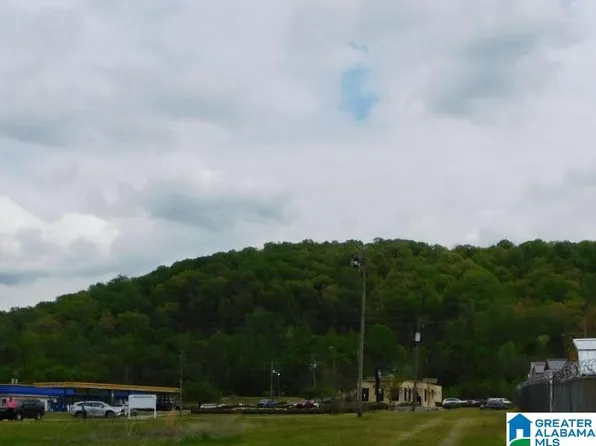 0 Midridge Ln #1, Pelham, AL 35124