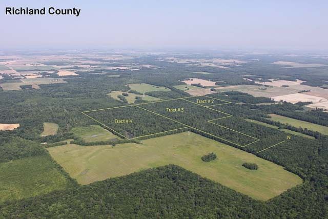 2nd image of Clay Rd