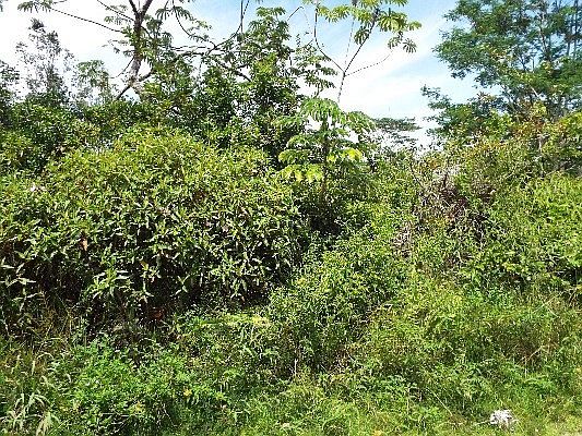2nd image of 9th Ave Lot 967