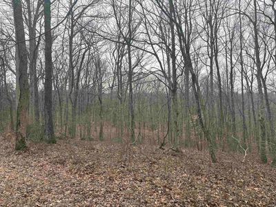 Campton Rd, Birdseye, IN, 47513