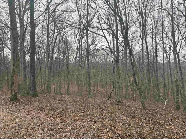 Campton Rd, Birdseye, IN 47513