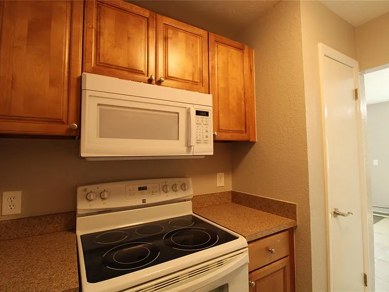 13731 Juniper Blossom Dr #201 — Photo 12