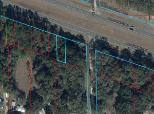 NE Highway 27alt LOT 2, Williston, FL 32696
