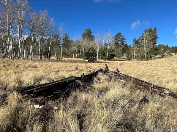 203 Doubletree Court LOT 1126 and 1127, Hartsel, CO 80449