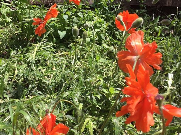 (undisclosed Address)