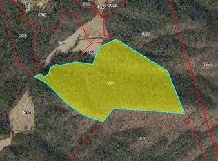 0 Old Lowgap Road, Lowgap, NC 27024