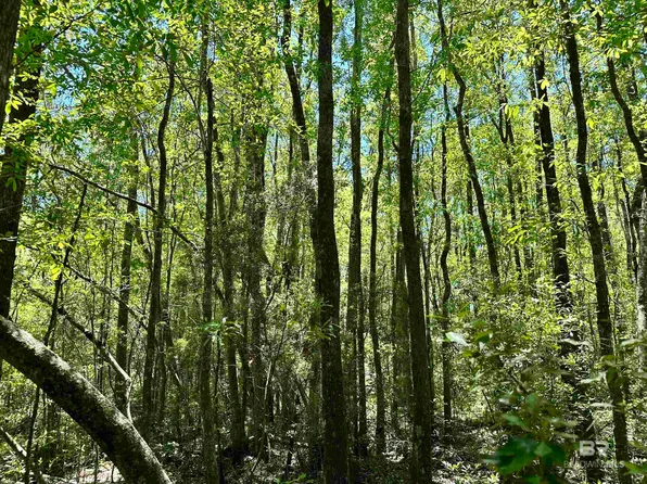 0 Rock Creek Rd, Wing, AL 36483