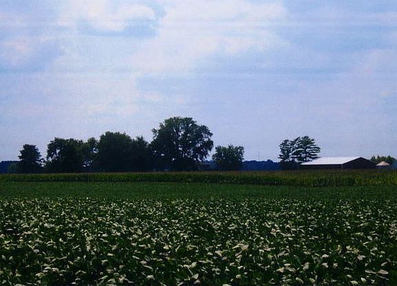 5th image of 69 Dueker Dr