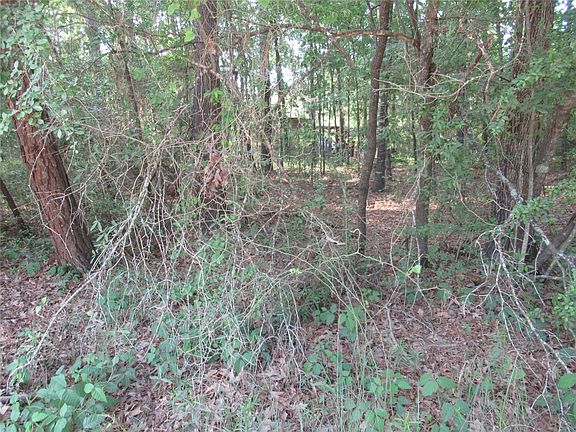 3rd image of Brackenridge