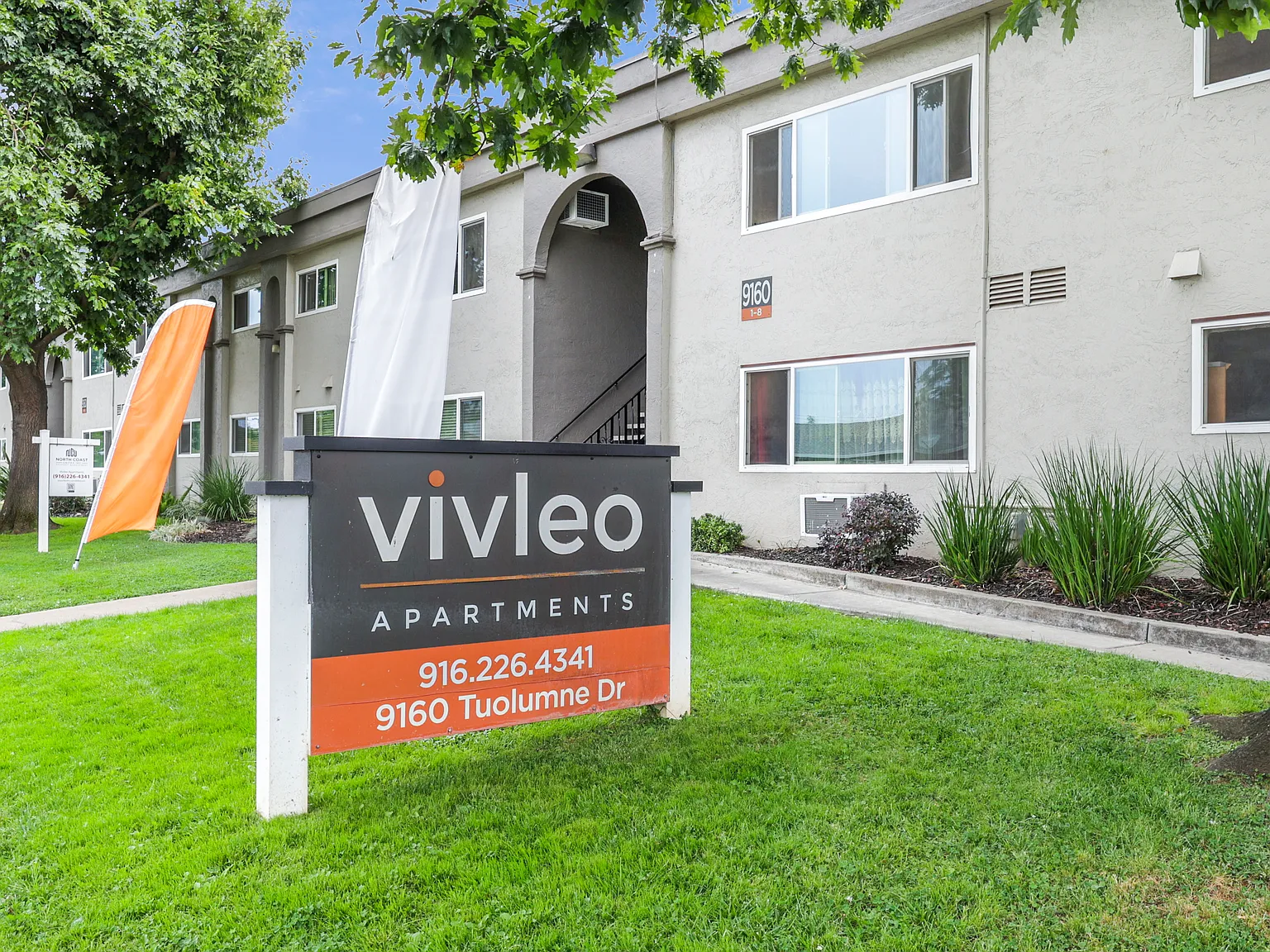 VivLeo — Photo 2