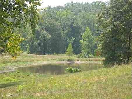 1st image of 229 Cossatot Trl