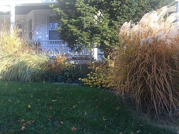 Fall garden Street view