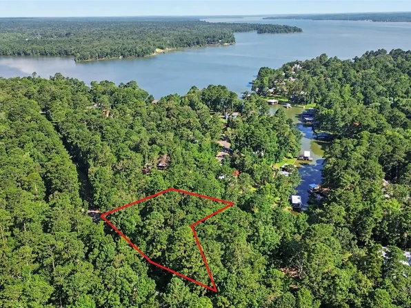 20 Lower Cove Dr, Pointblank, TX 77364