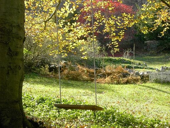 The grounds near by