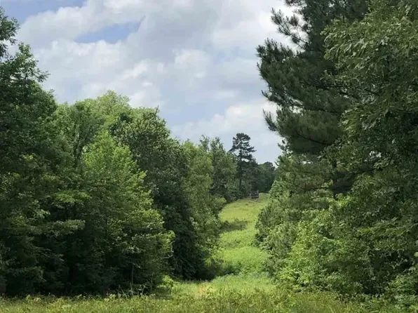 Aster Rd, Gilmer, TX 75644