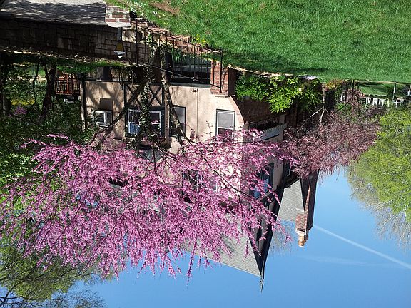 4th image of 5401 Cherry St
