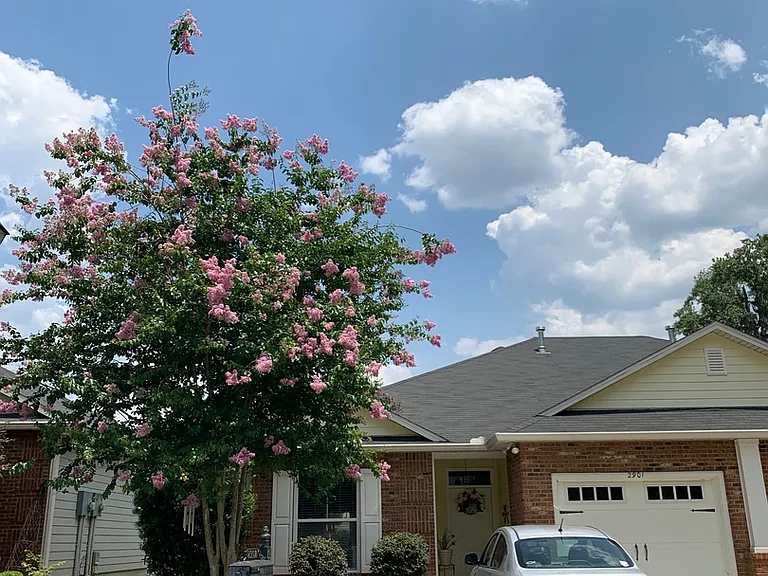 2901 Hampton Meadow Dr — Photo 2