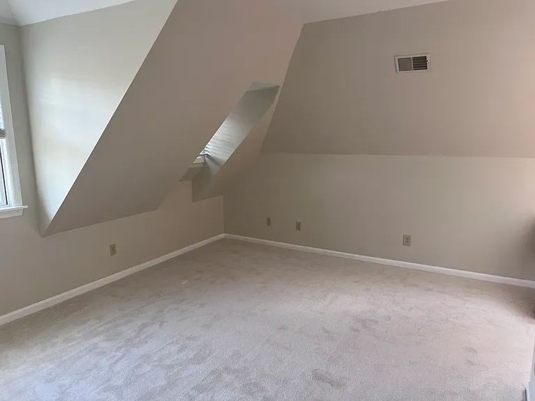 Lower level bedroom (w/ en suite bathroom)