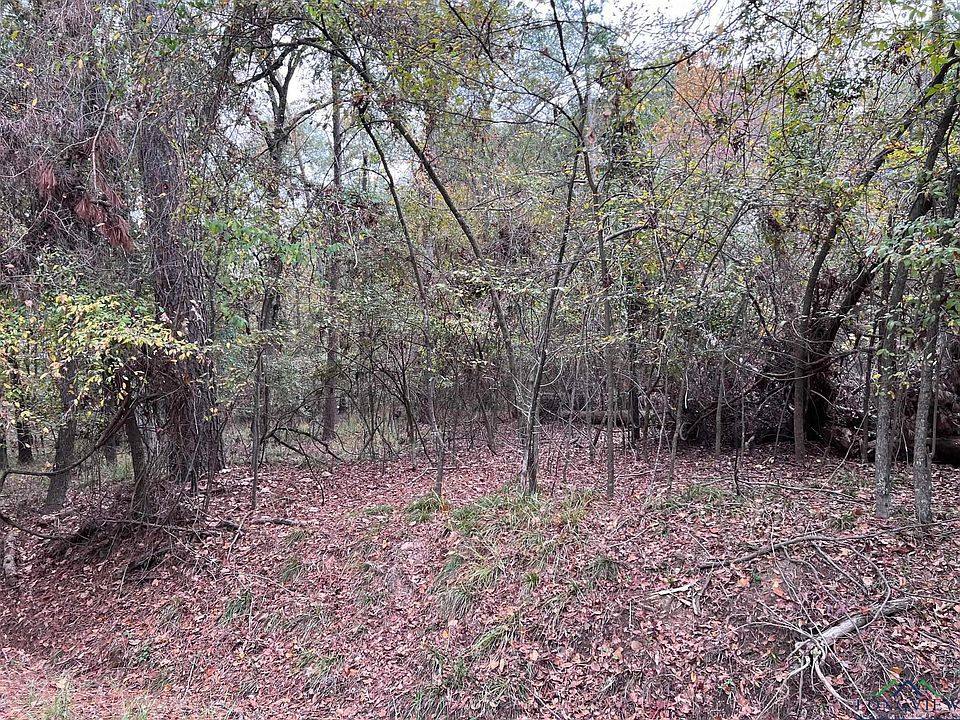 2nd image of Dale Ln