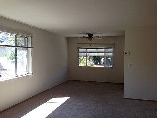 4th image of 786 Elm St APT 12