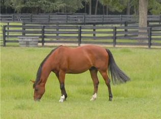 4678 Woodville Rd, Mount Pleasant, SC 29429