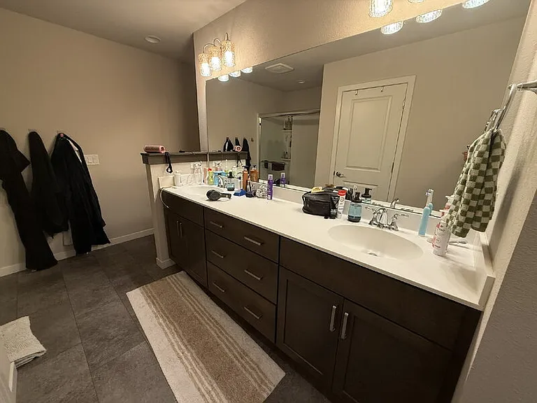 2865 Endive Dr — Photo 41
