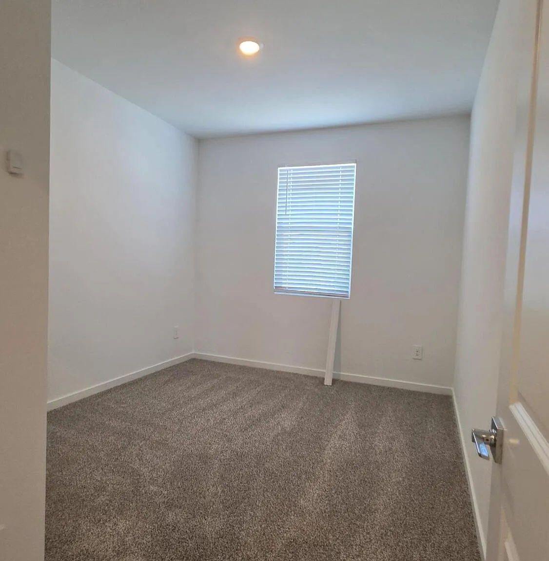3 bed, 2.0 bath, 1568 sqft, $1,695 — Photo 3