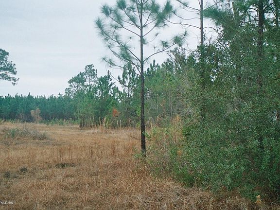4th image of 5904 County Road 209 S