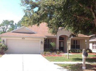 19804 Morden Blush Dr, Lutz, FL 33558