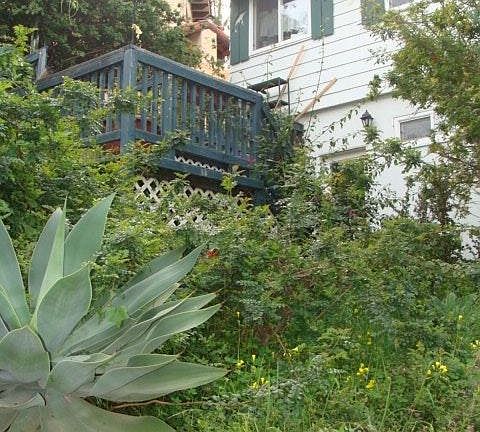 Terrace from driveway