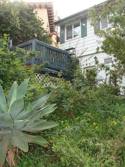 Terrace from driveway