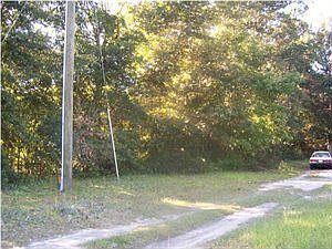 2nd image of 9410 N Highway 17