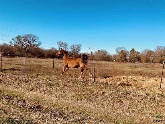 2nd image of 2506 County Road 1342